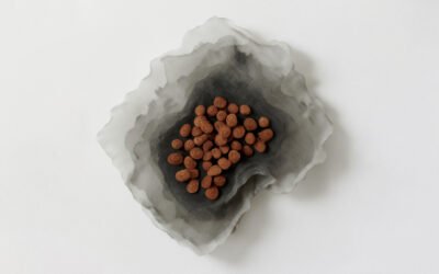 Who Can Appear as Counsel in Nigerian-Seated Arbitration?