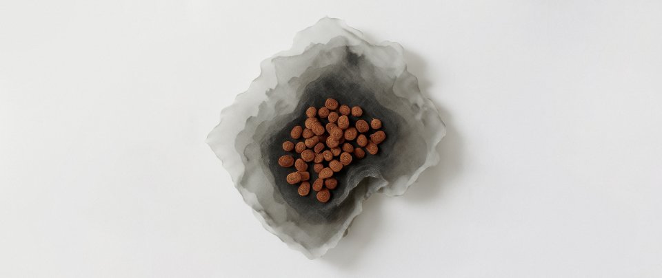 Who Can Appear as Counsel in Nigerian-Seated Arbitration?